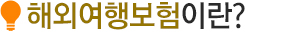 여행자보험이란?